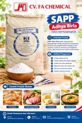 SAPP ADITYA BIRLA